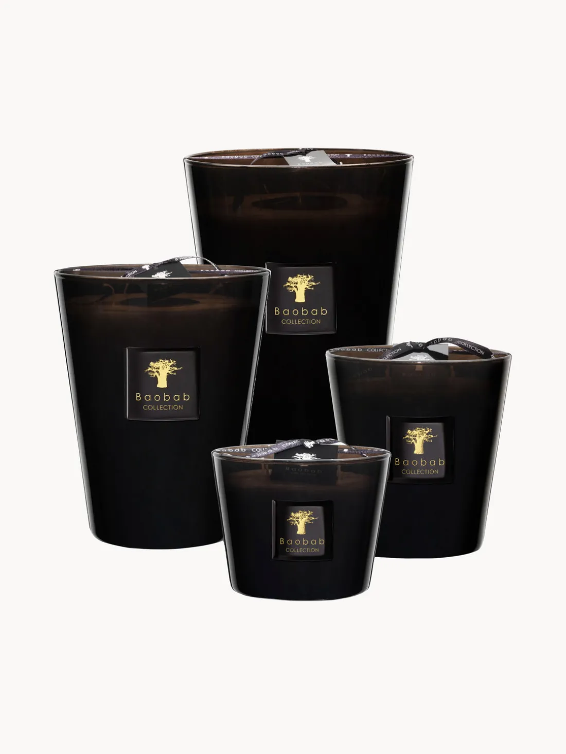 Vela perfumada de cinco mechas Prestigieuses (cuero, secuoya, ámbar)