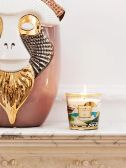 Vela perfumada My First Baobab Rio (bergamota, cardamomo y almizcle)